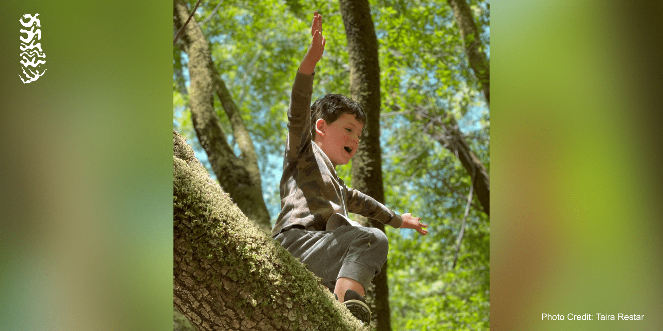 Online Workshop: Wild Wonder: A Family Guide to Creative Nature Connection with Taira Restar