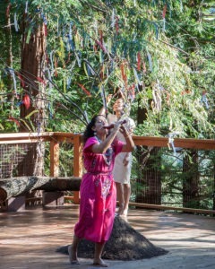 Tamalpa Friends of ArtCorps