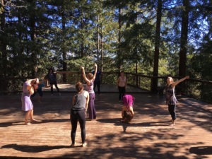 Tamalpa Institute Life Art Process