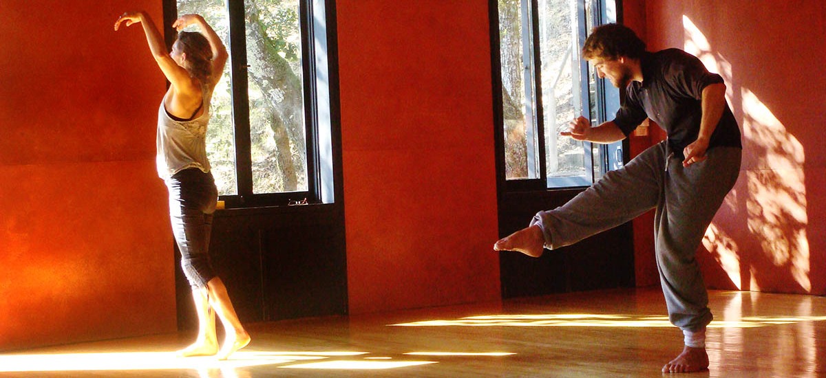 Tamalpa Institute Professional Training