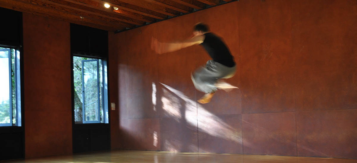 Tamalpa Institute Public Programs