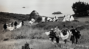 group of people carrying white cloth through grassy field
